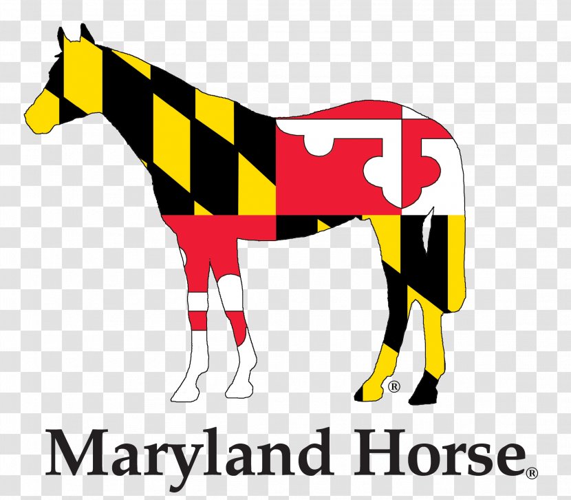 Flag Of Maryland Thoroughbred Standardbred Decal Sticker - Mustang Horse Transparent PNG