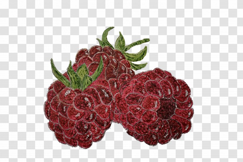 Association Agroparc Loganberry Boysenberry Strawberry Montfavet - Superfood Transparent PNG