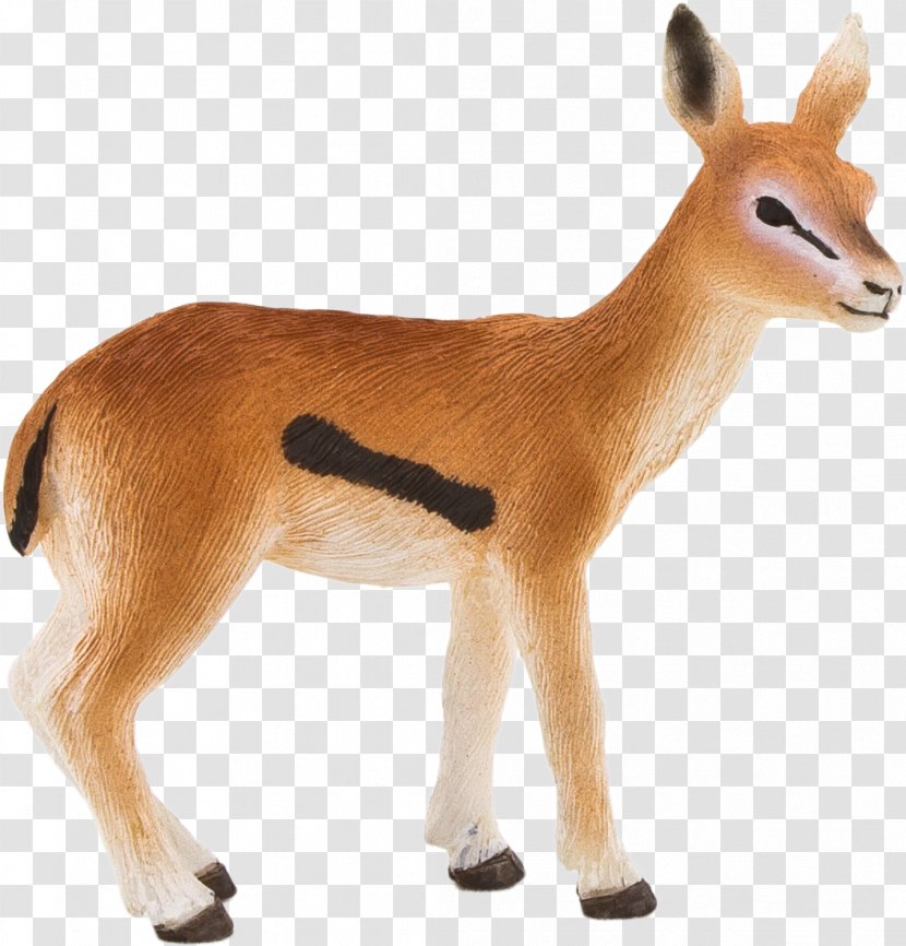 Dog And Cat - Antelope - Tail Deer Transparent PNG