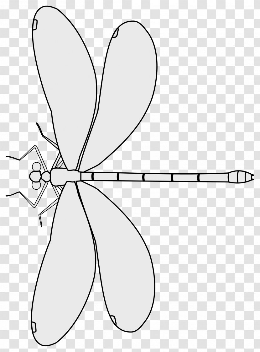 Leaf Cartoon Petal Line Art Clip - Plant Stem - Dragonfly Sketch Transparent PNG