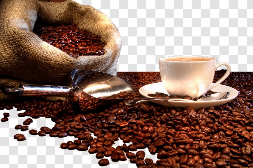 Kona Coffee Espresso Tea Cafe - Bean - Beans Transparent PNG