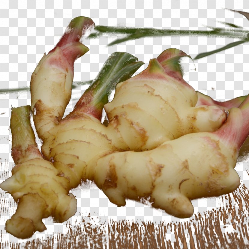 Root Vegetables Ginger Galangal Download - Hair Teeth Transparent PNG