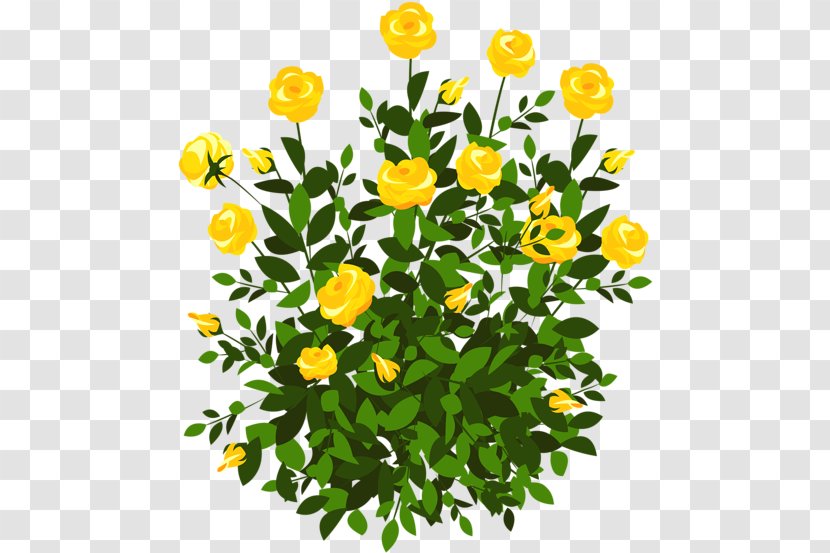 Clip Art Openclipart Rose Shrub - English Marigold - Spring Planting Flowers Transparent PNG
