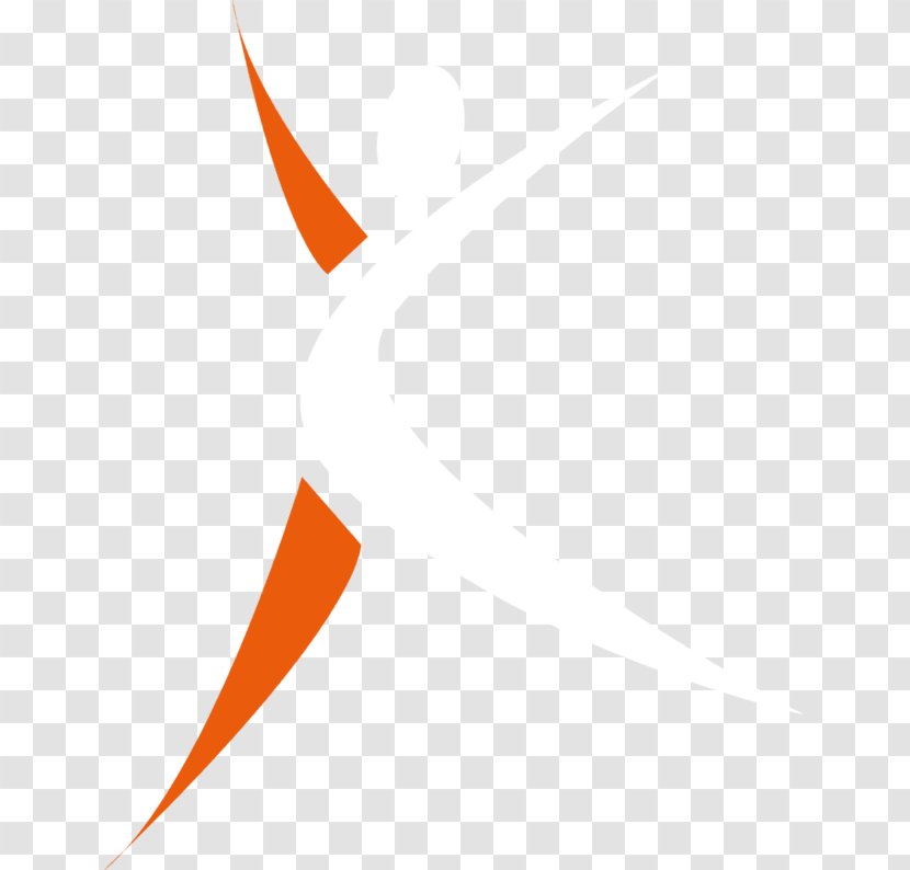 Logo Brand Line Angle Font - Text - Orange Transparent PNG