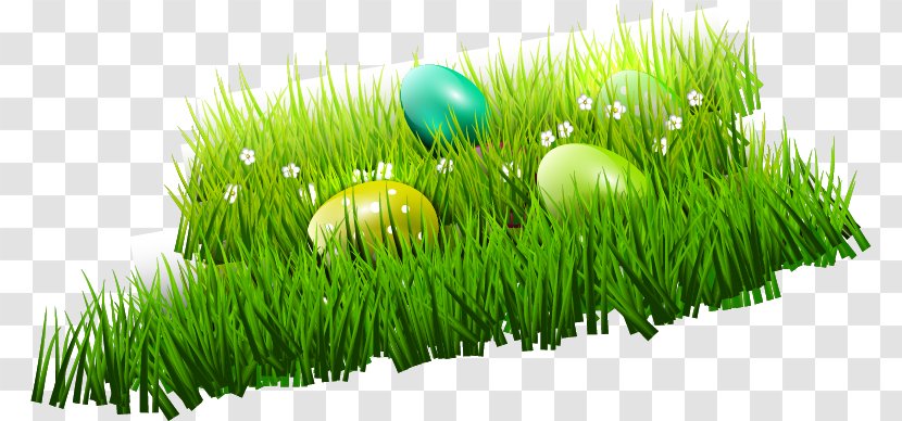Easter Bunny Egg - Green - Eggs Vector Material, Transparent PNG