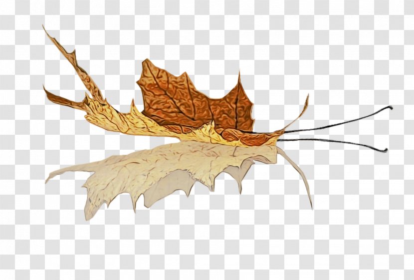 Leaf Watercolor - Wet Ink - Black Maple Tree Transparent PNG