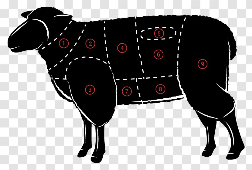 Sheep Lamb And Mutton - Art - Rack Of Transparent PNG