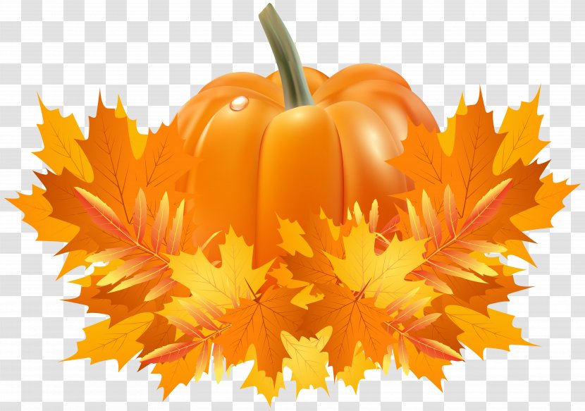 Pumpkin Pie Cucurbita Pepo Argyrosperma Crookneck - Halloween - Fall Leaves And Decoration Clip Art Transparent PNG