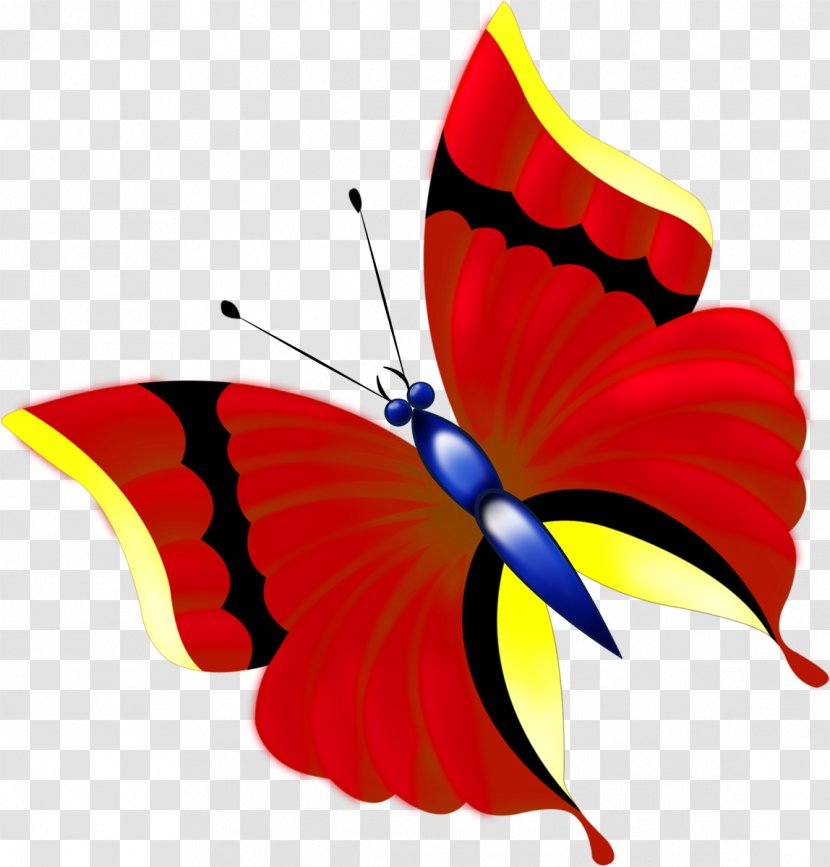 Butterfly Paper Drawing Clip Art - Insect - Kite Transparent PNG