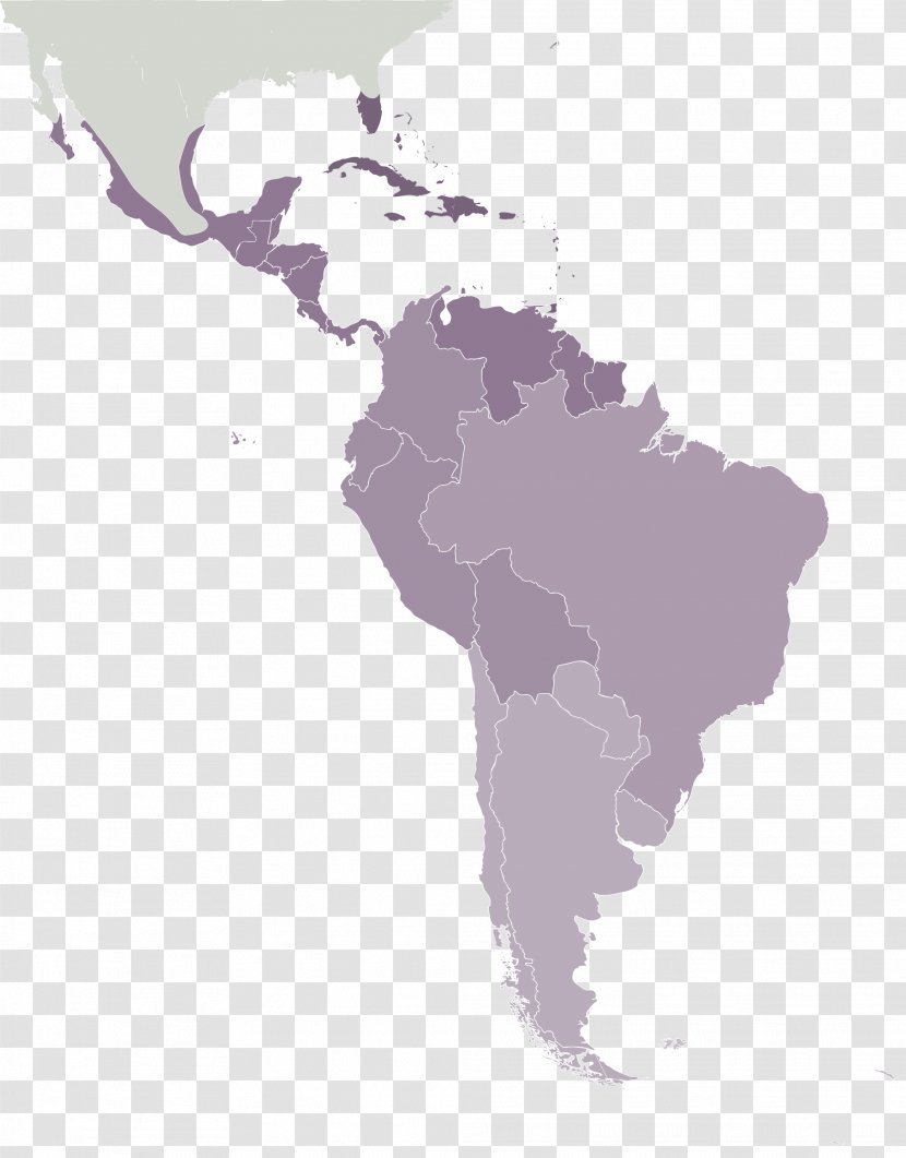 United States Caribbean Latin America South Central - Skunk Transparent PNG