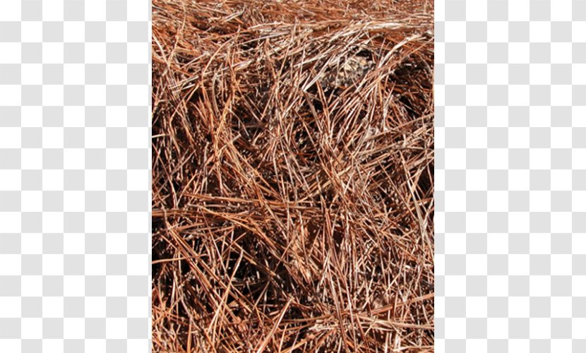 Straw Mulch Scrap Pine - Needles Transparent PNG