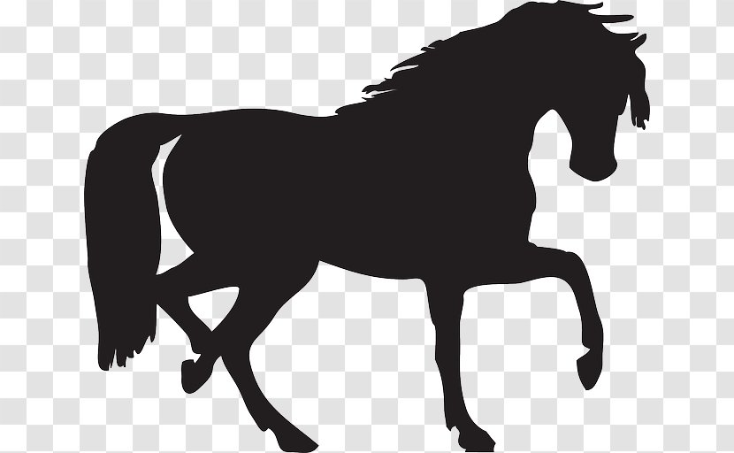 Mustang Silhouette Clip Art - Livestock - Long Ears Transparent PNG