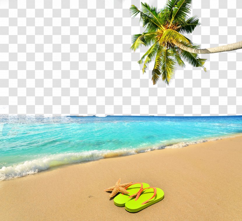 Vacation Summer Beach - Poster - Background Transparent PNG