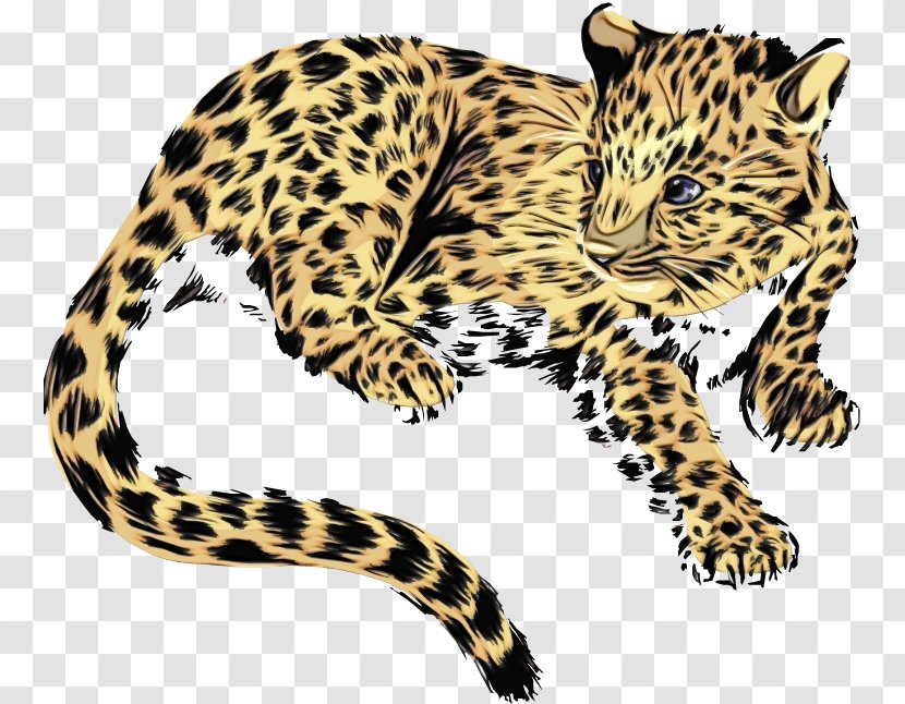 Cats Cartoon - Cheetah - Fur Ocelot Transparent PNG