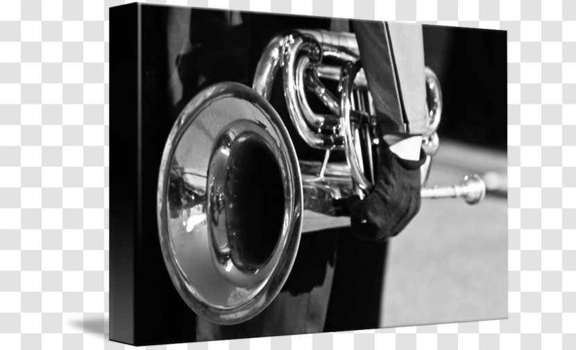 Cornet Mellophone Trumpet Euphonium Marching Band - Watercolor Transparent PNG