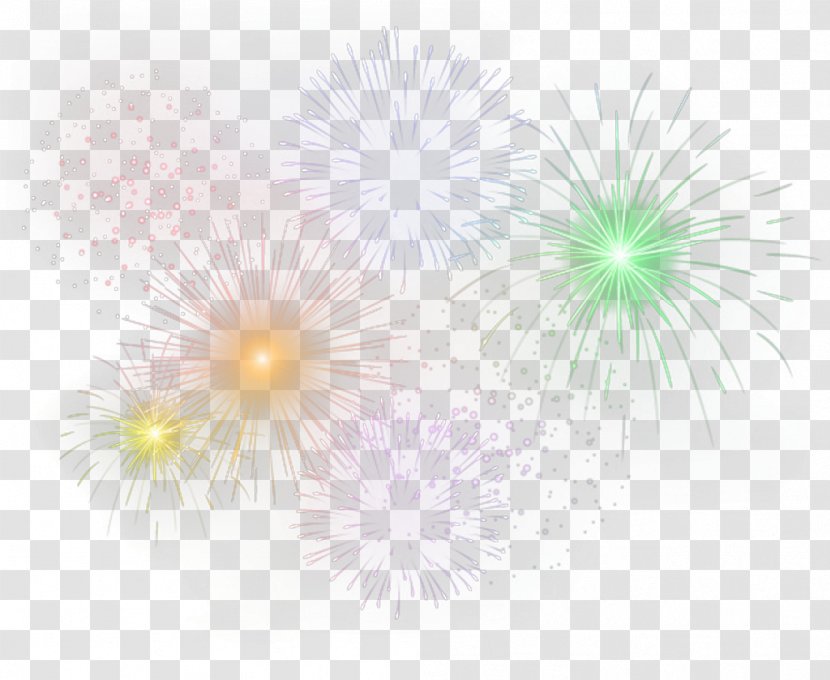 Graphic Design Petal Green Pattern - Text - Fireworks Transparent PNG