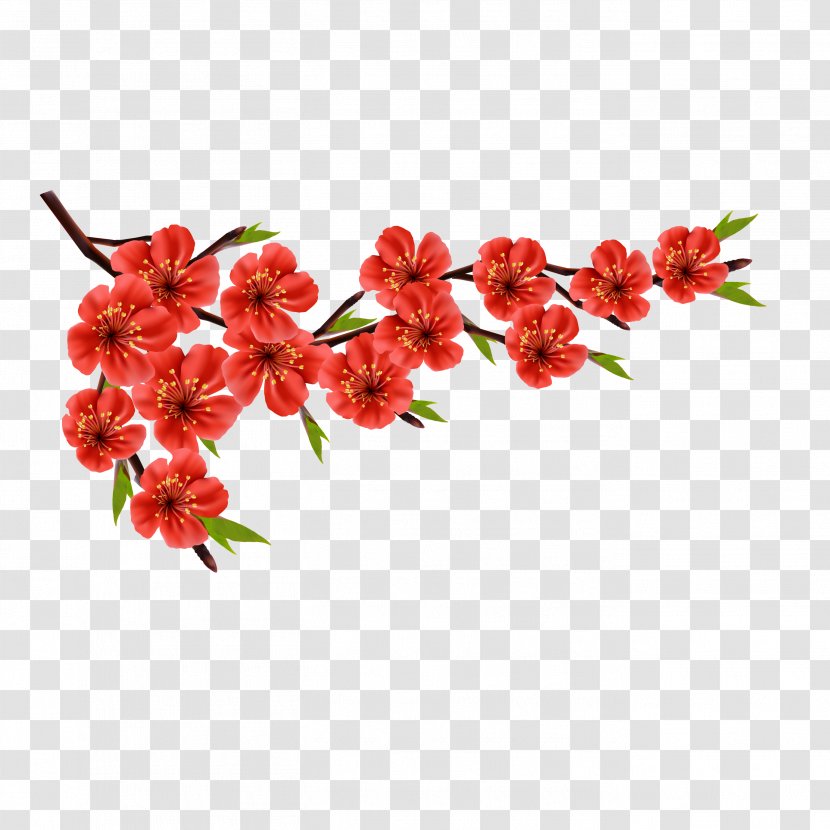 Flower Red Euclidean Vector Stock Photography - Branch - Peach Blossom Free Download Transparent PNG