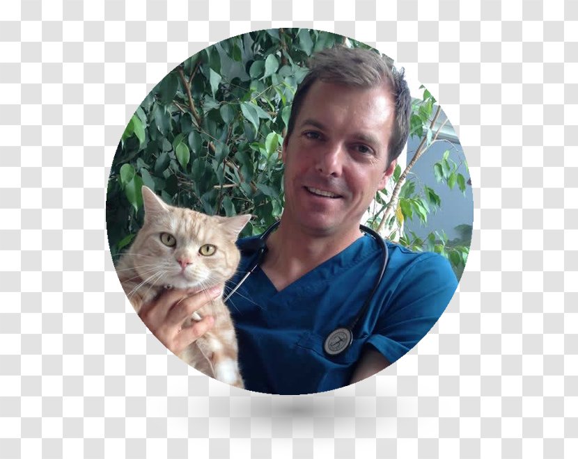 Cat Veterinary Neurology Veterinarian Royal College Of Surgeons Pet Transparent PNG