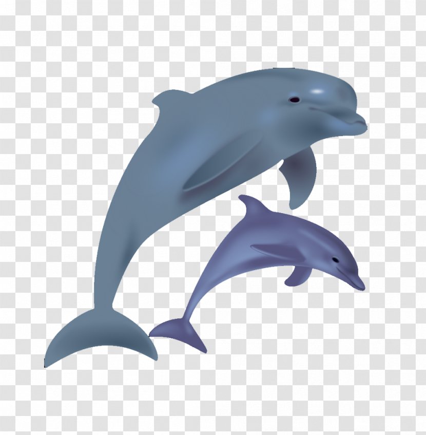 Bottlenose Dolphin Clip Art - Short Beaked Common - Cartoon Dolphins Jump Transparent PNG