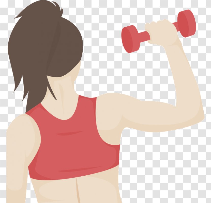 Aerobic Exercise Weight Training Physical Fitness Centre - Tree - Bodybuilding Transparent PNG