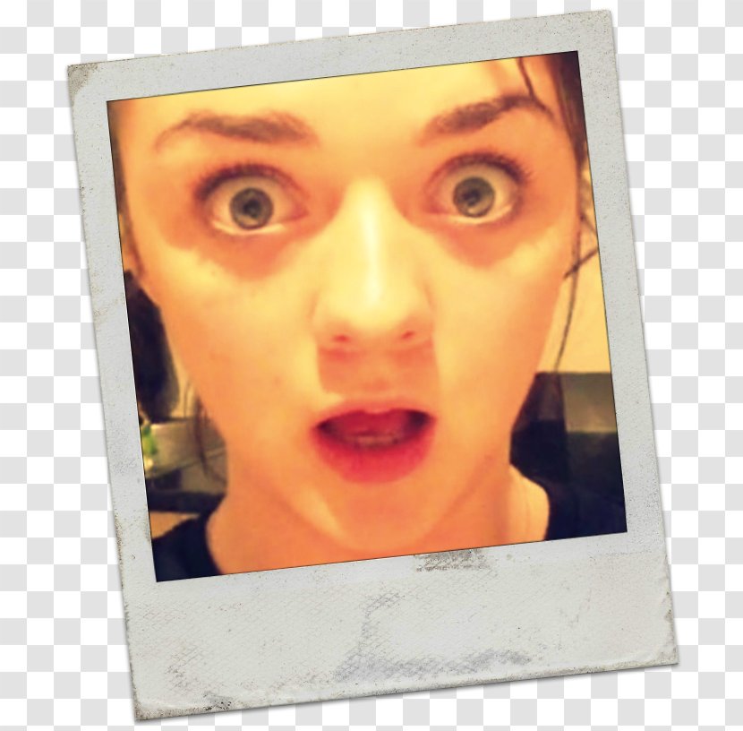 Face Portrait Cheek Forehead Eye - Picture Frame - Maisie Williams Transparent PNG