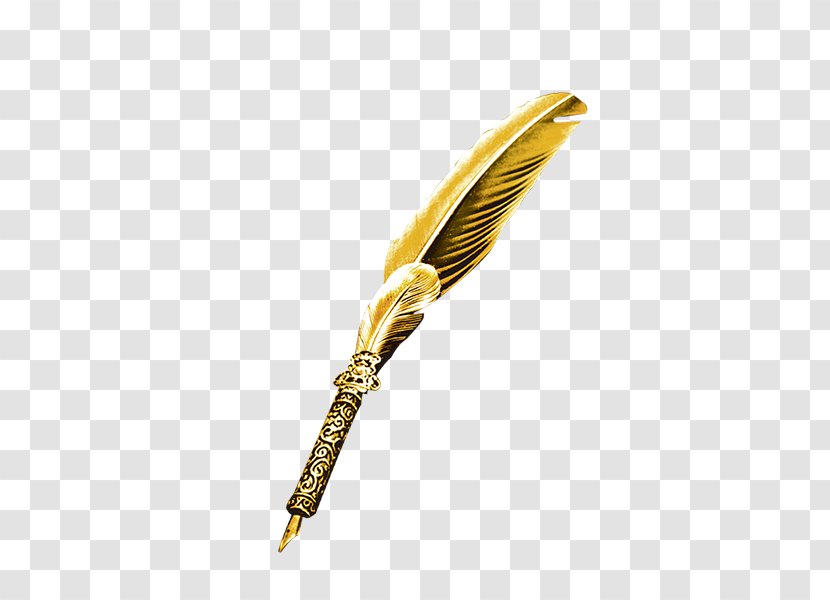 Pen Quill Download - Information - Golden Feather Transparent PNG