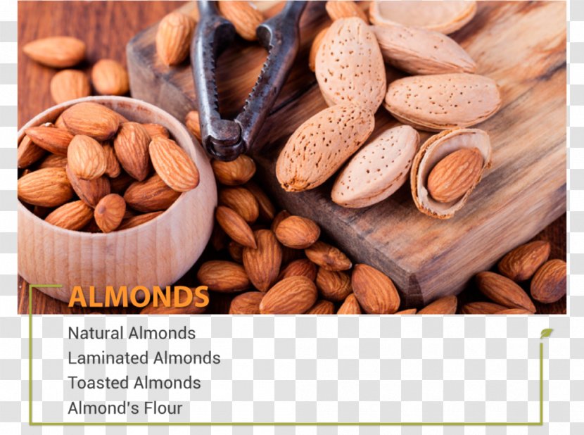 Almond Organic Food Nut Health - Cocoa Bean Transparent PNG