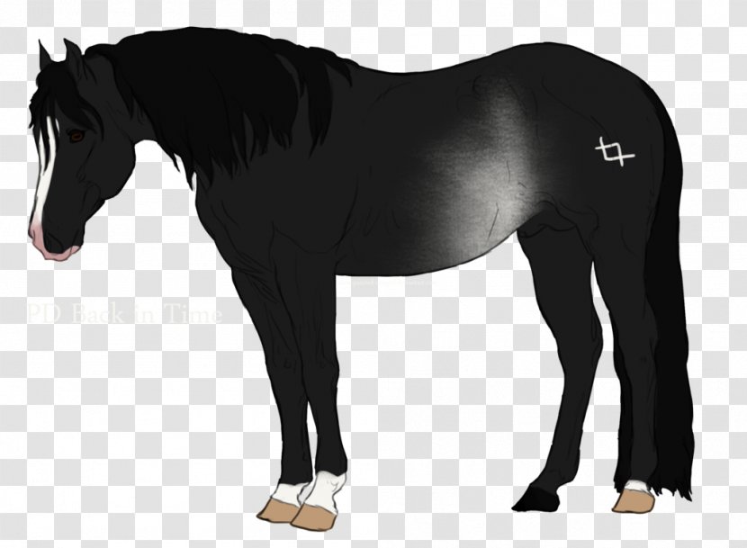 Mane Mustang Mare Stallion Halter - Neck - Animal Trainers Natural Talent Transparent PNG