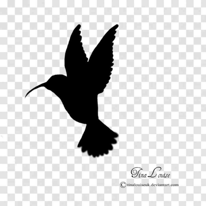 Hummingbird Silhouette Clip Art - Drawing Transparent PNG