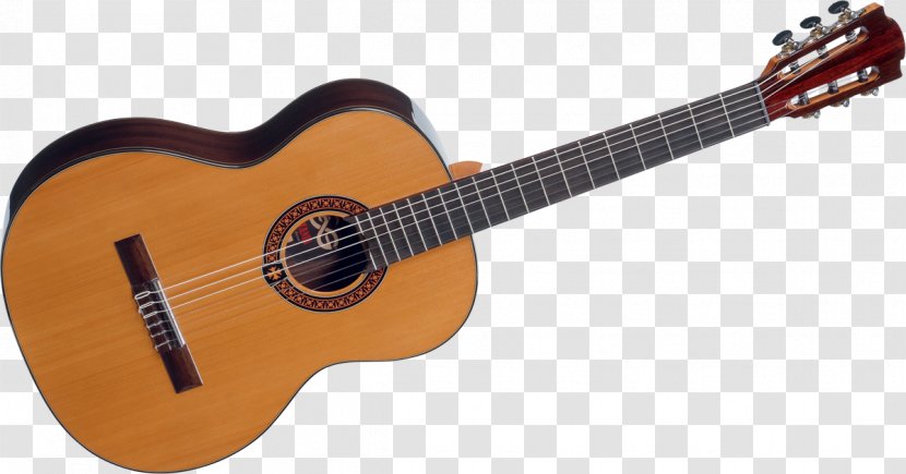 Taylor GS Mini Acoustic Guitar Mahogany Guitars - Tree Transparent PNG