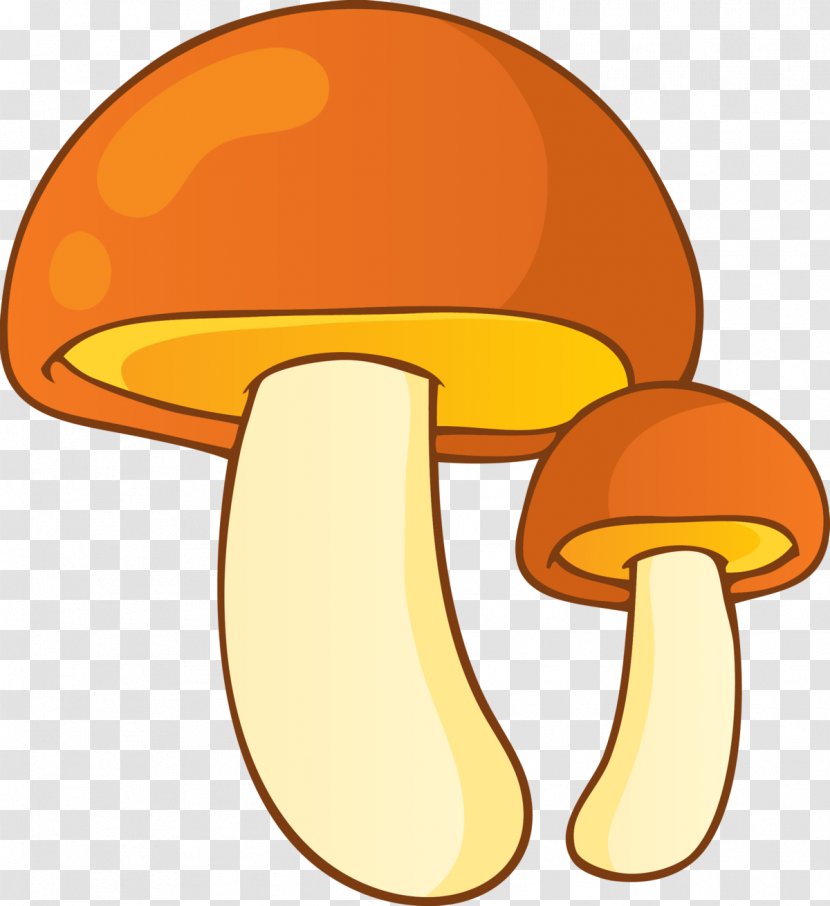 Stock Photography Illustration Mushroom Hunting Fungus Transparent PNG