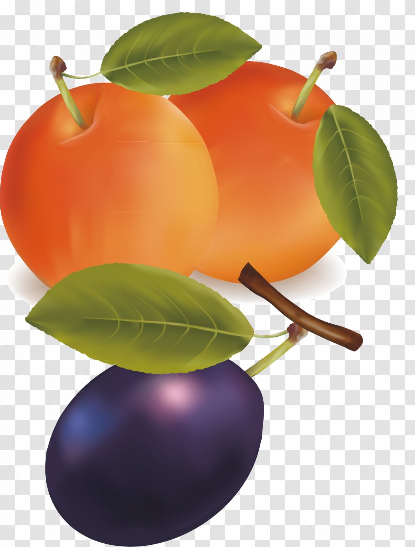 Zwetschge Apple Download Clip Art - Plum - Material Picture Transparent PNG
