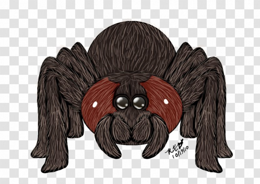 Spider Dog Rose Hair Tarantula Mygalomorphae - Cartoon Transparent PNG