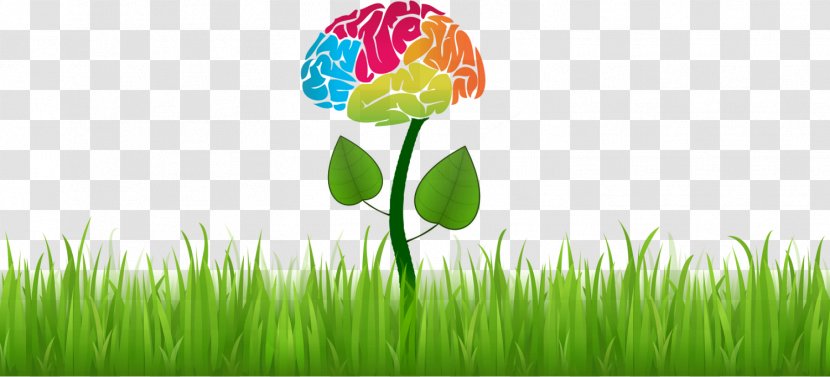 Neuropsychology Cognition Neurology Medicine - Health - Flowers And Whirlpools Transparent PNG