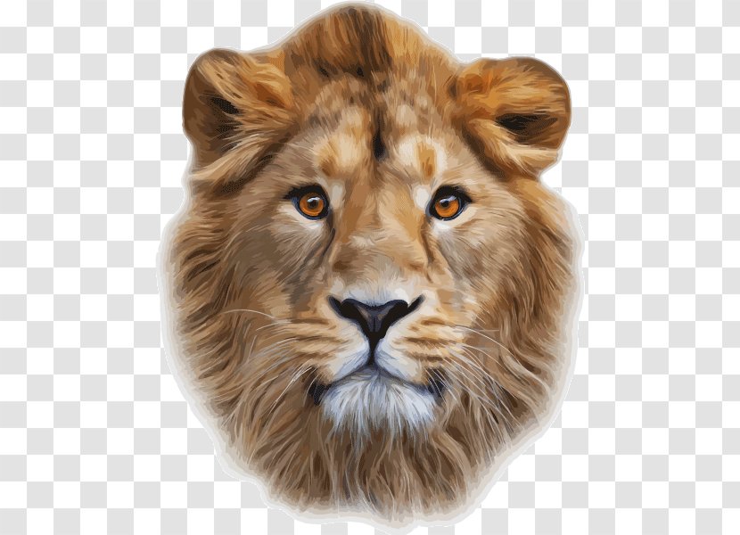 Lionhead Rabbit Lion's Head Cougar Clip Art - Masai Lion Transparent PNG