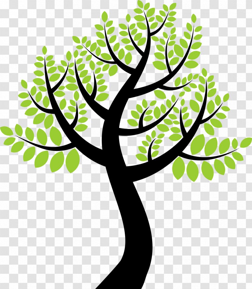 Tree Clip Art - Color - Trunk Transparent PNG