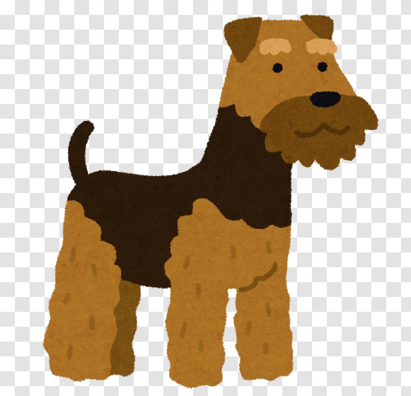 Dog Breed Irish Terrier Welsh Lakeland Companion - Snout - Puppy Transparent PNG