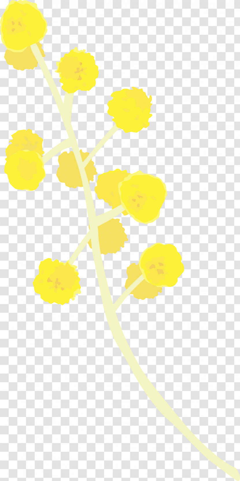Yellow Line Plant Flower Transparent PNG