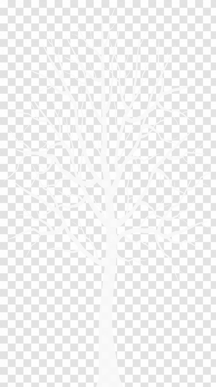 Twig White Plant Stem Leaf Line - Black And - Tee Transparent PNG