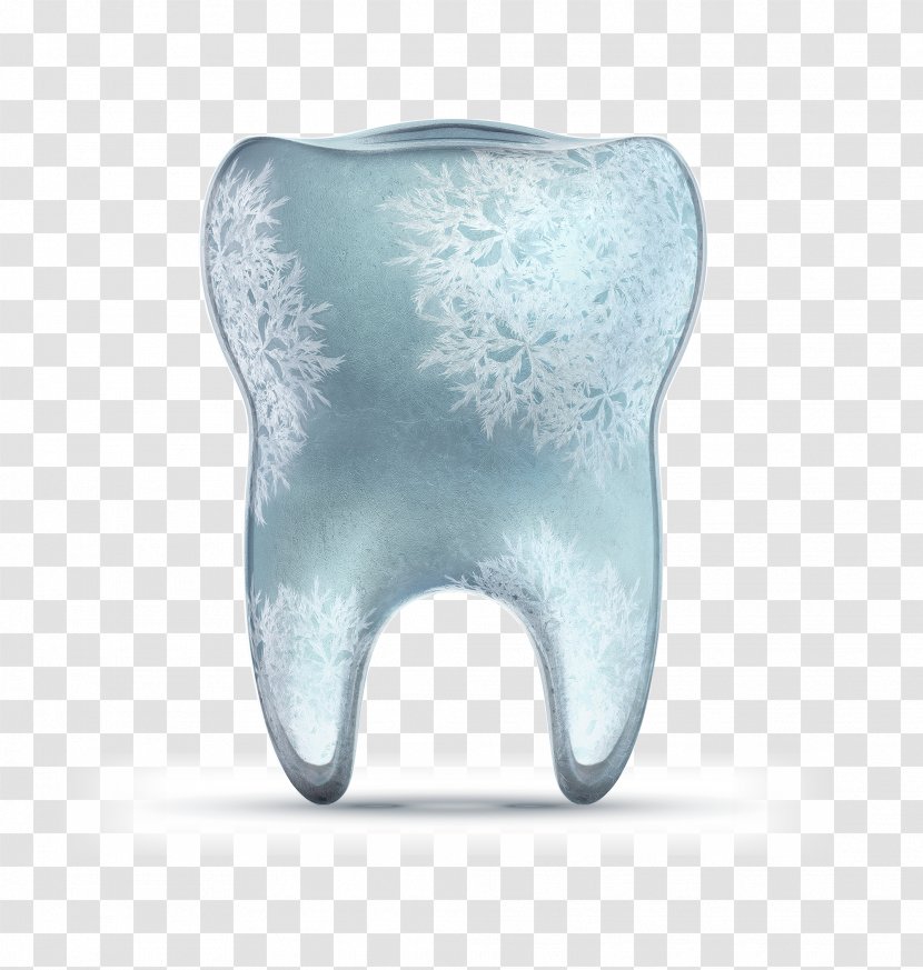 Tooth Enamel Acid Erosion Toothpaste Dentistry - Tree Transparent PNG