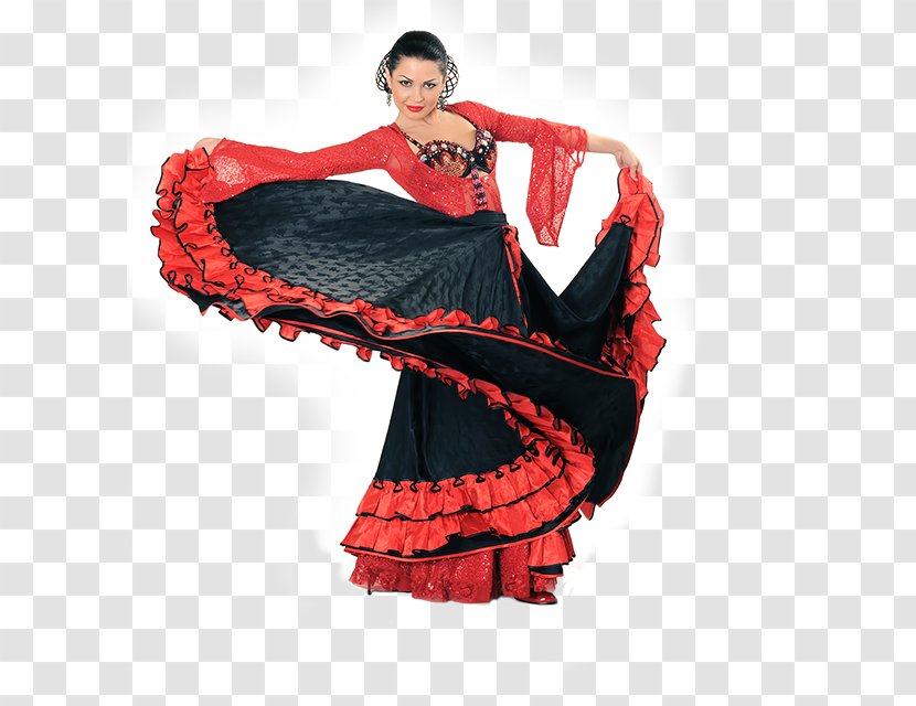 Flamenco Dance Art - Flower - Heart Transparent PNG