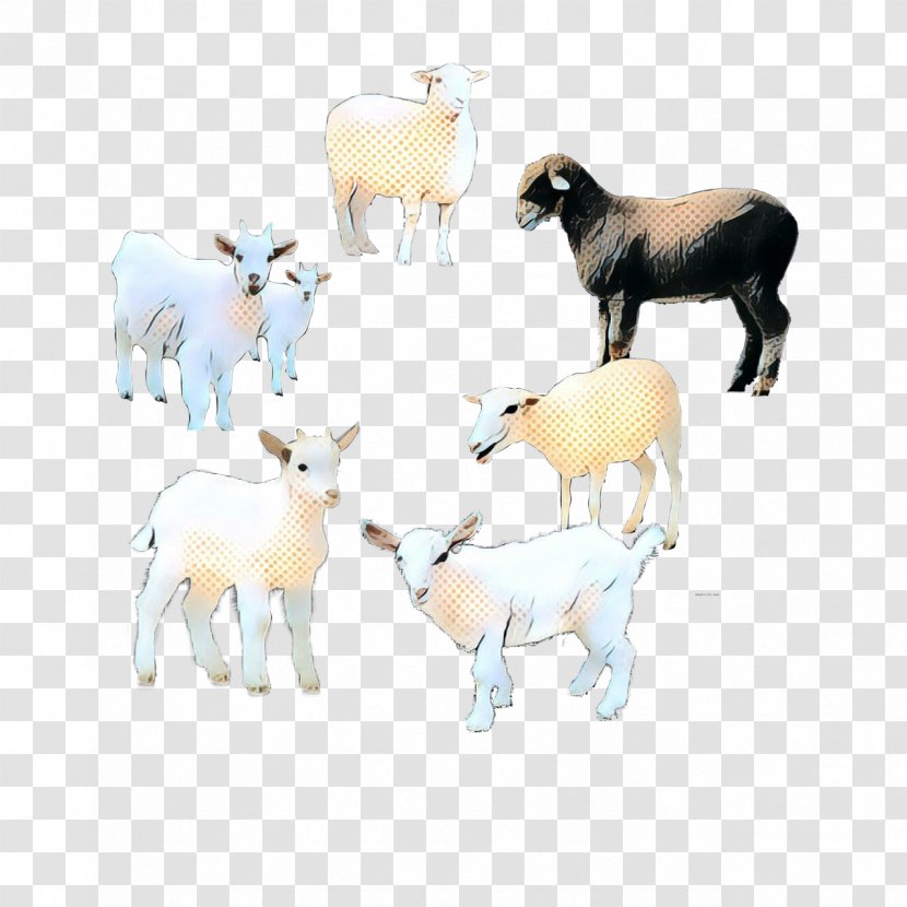 Sheep Rove Goat Alpine Ibex Drawing - Cartoon Transparent PNG