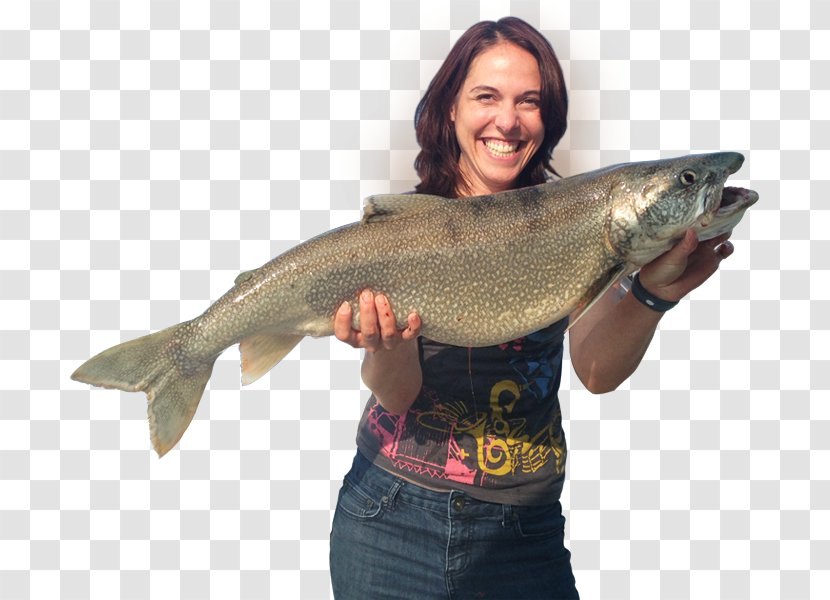 Lake Michigan Fishing Coho Salmon Transparent PNG