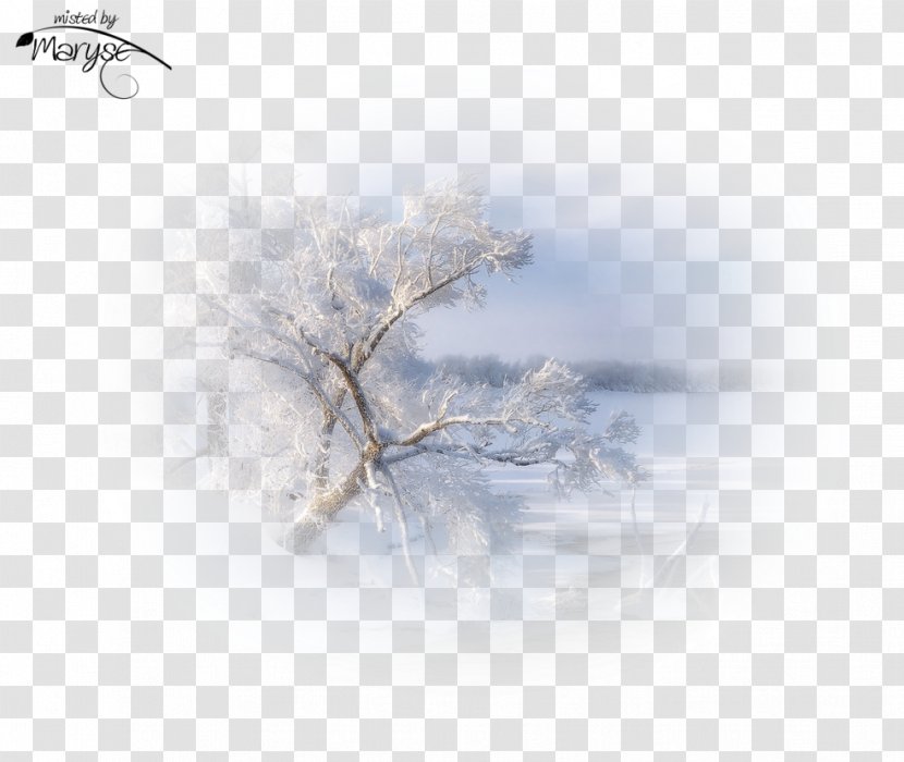 Winter PaintShop Pro PlayStation Portable Microsoft Paint - Photography - Psp Transparent PNG