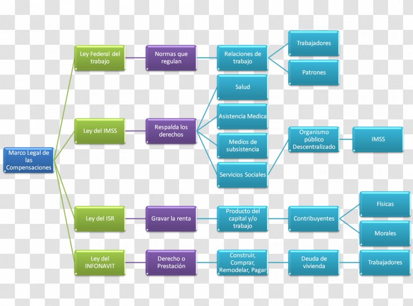 Brand Organization Diagram - Rectangle - Design Transparent PNG