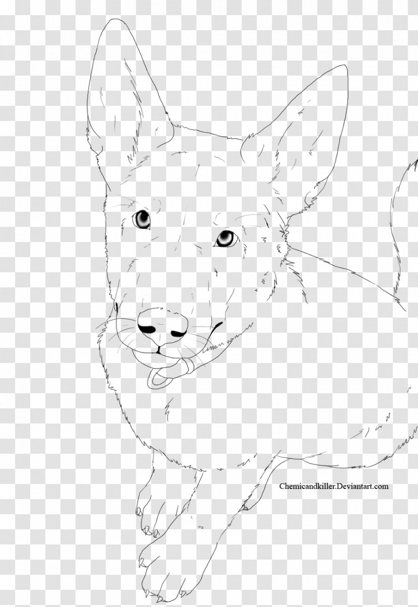 Dog Red Fox Snout Whiskers Drawing - Gray Wolf - Shepherd Transparent PNG