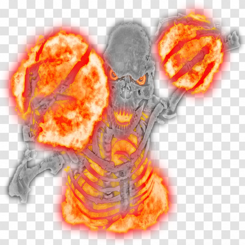 Organism - Orange - Namecard Design Transparent PNG