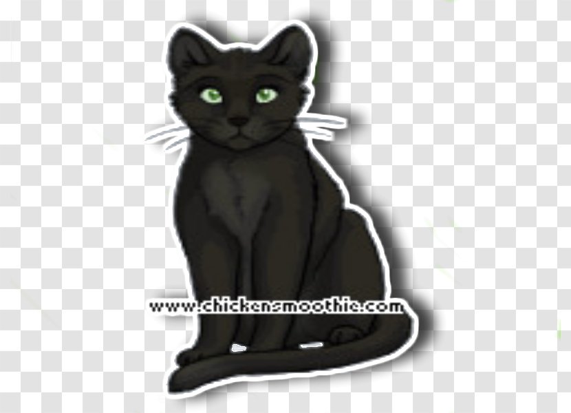 Korat Kitten Domestic Short-haired Cat Black Whiskers - Carnivoran Transparent PNG