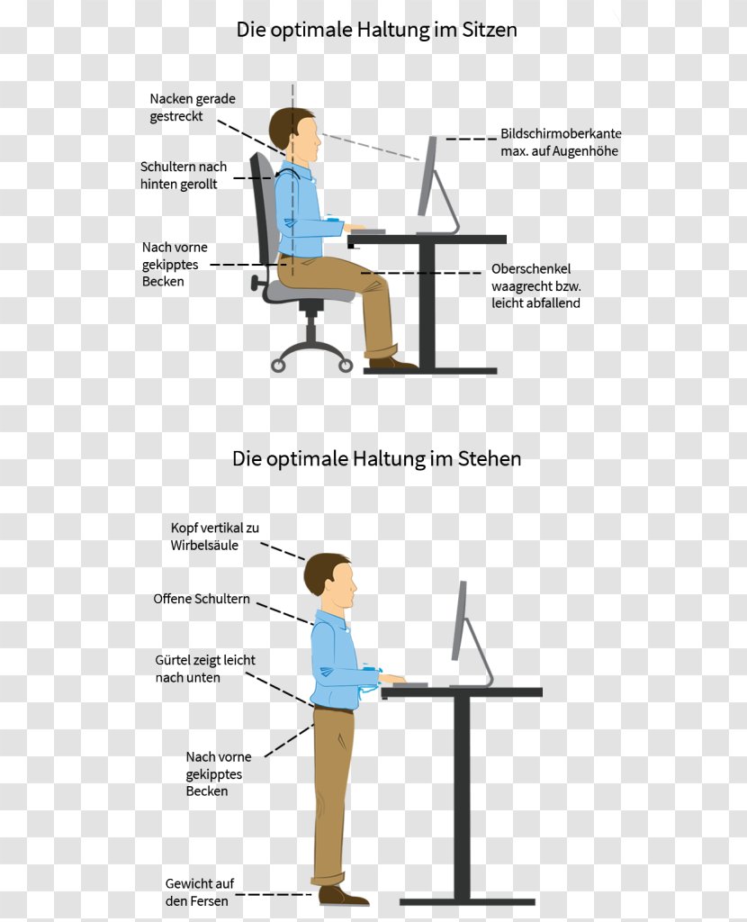 Human Factors And Ergonomics Neutral Spine Sitting Pain In Office & Desk Chairs - Arm - Health Transparent PNG