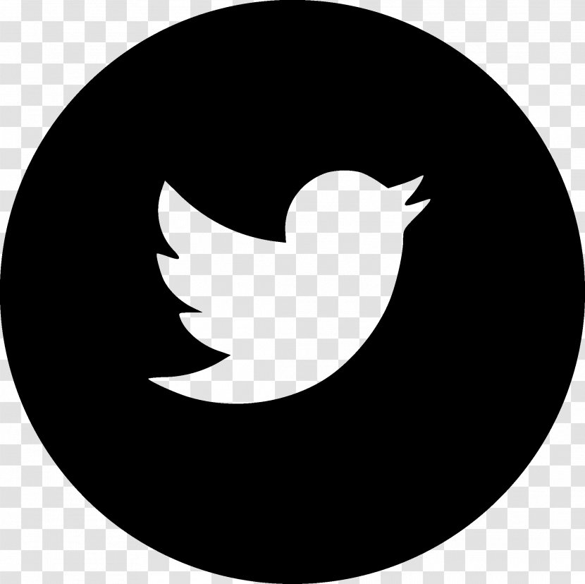 Social Media - Bird - Twitter Transparent PNG